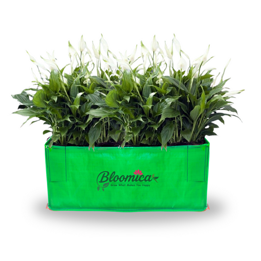 18x12x12 Inches (1½x1x1 Ft ) - 260 GSM HDPE Rectangular Grow Bag