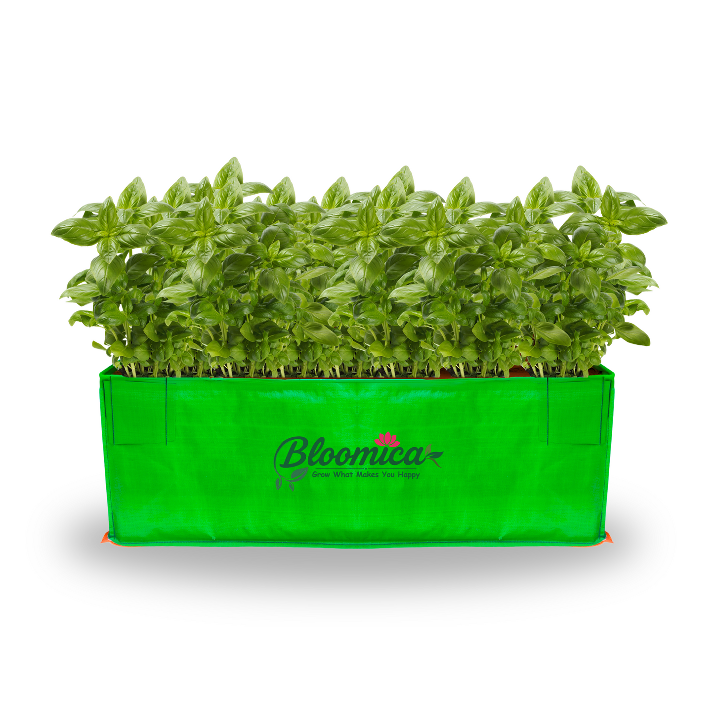 18x12x9 Inches (1½x1x¾ Ft ) - 260 GSM HDPE Rectangular Grow Bag