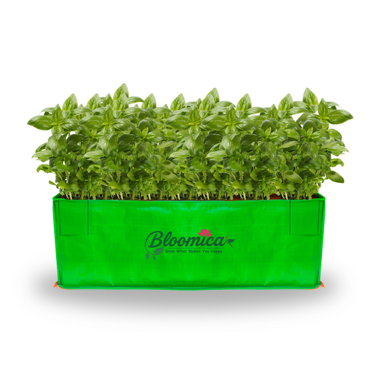 18x12x9 Inches (1½x1x¾ Ft ) - 260 GSM HDPE Rectangular Grow Bag