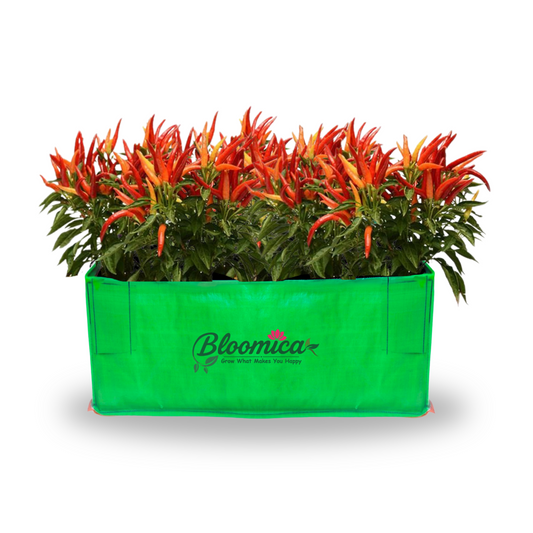 24x12x12 Inches (2x1x1 Ft ) - 260 GSM HDPE Rectangular Grow Bag