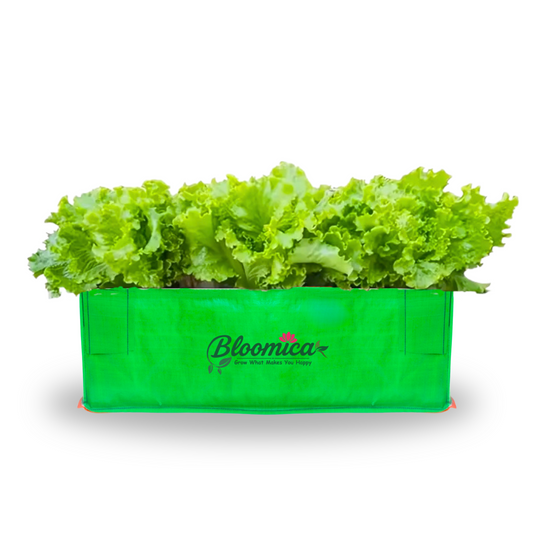 24x12x9 Inches (2x1x¾ Ft ) - 260 GSM HDPE Rectangular Grow Bag