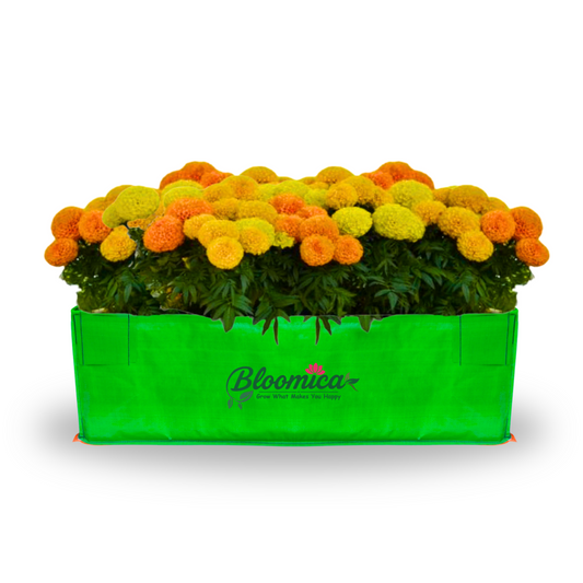 36x12x12 Inches (3x1x1 Ft) - 260 GSM HDPE Rectangular Grow Bag