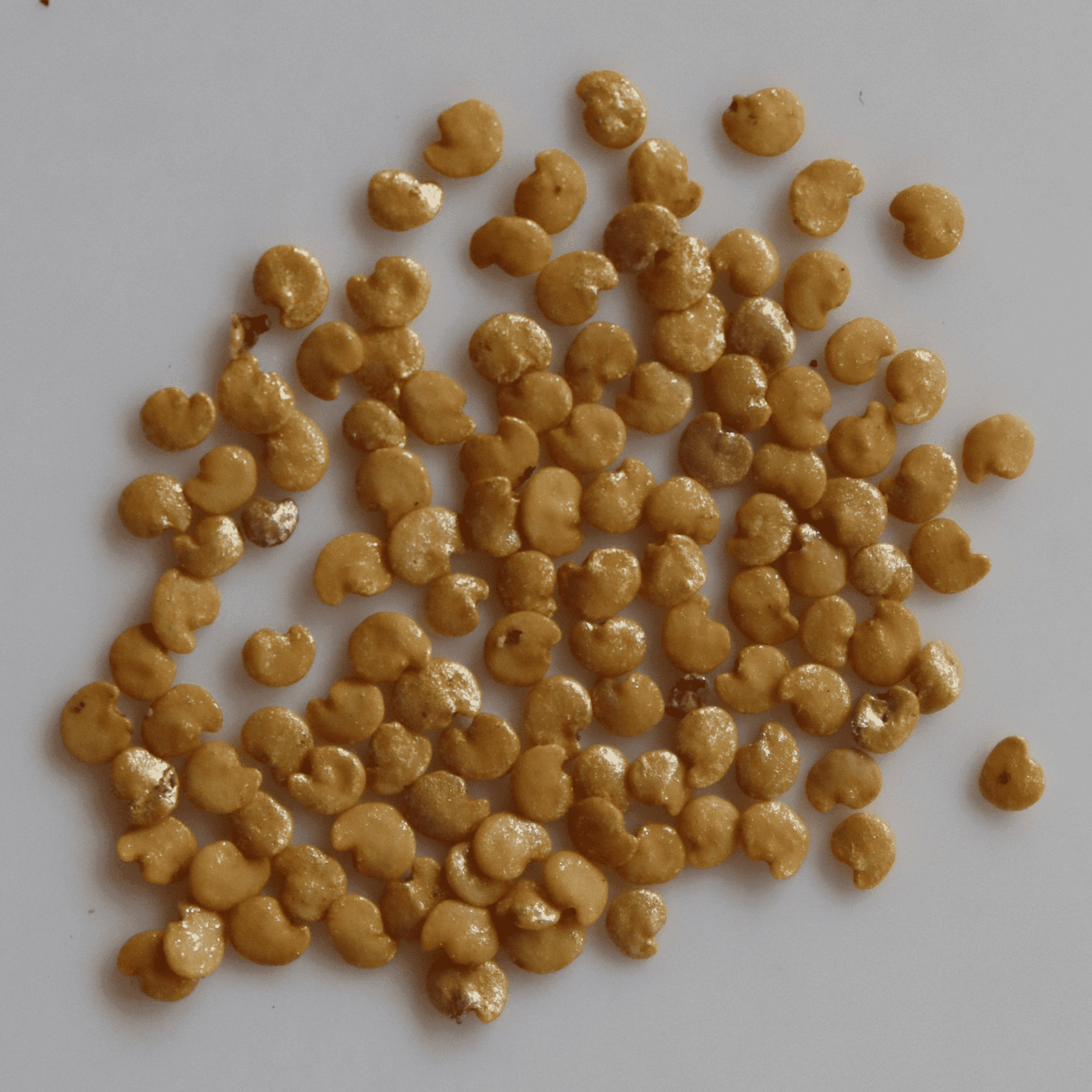 Organic Purple Round Brinjal Seeds - Open Pollinated