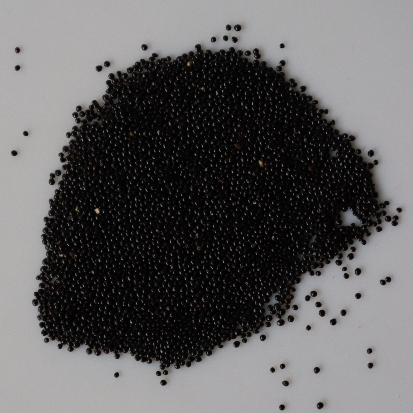 Organic Green Amaranthus Seeds - Open Pollinated