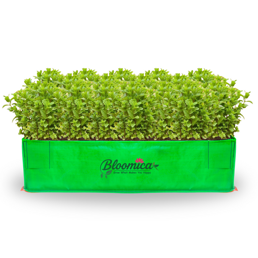 48x24x12 Inches (4x2x1 Ft) - 260 GSM HDPE Rectangular Grow Bag