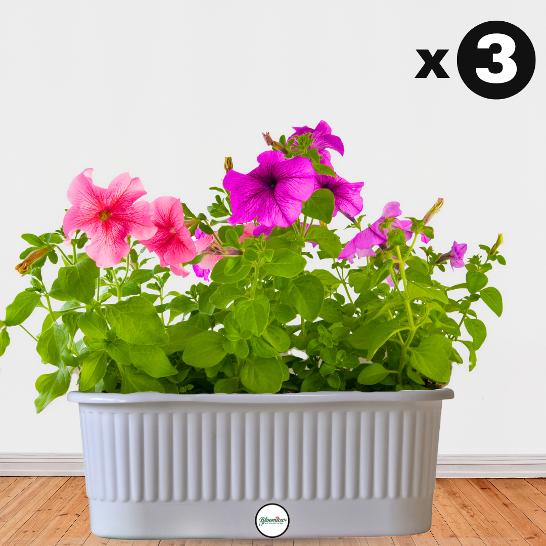 Balcony Railing Planter - White Colour