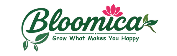 Bloomica