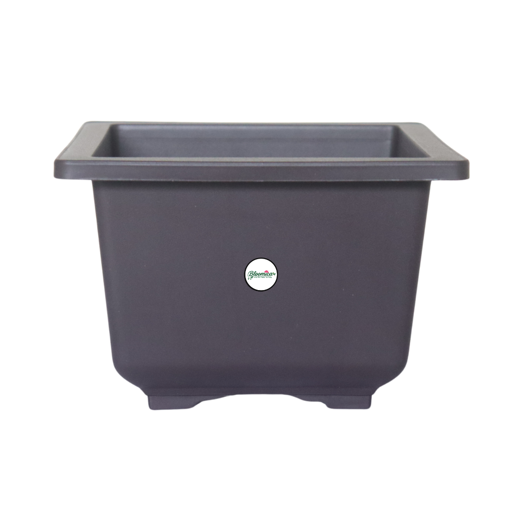 Compact Square Bonsai Planter - Brown Colour