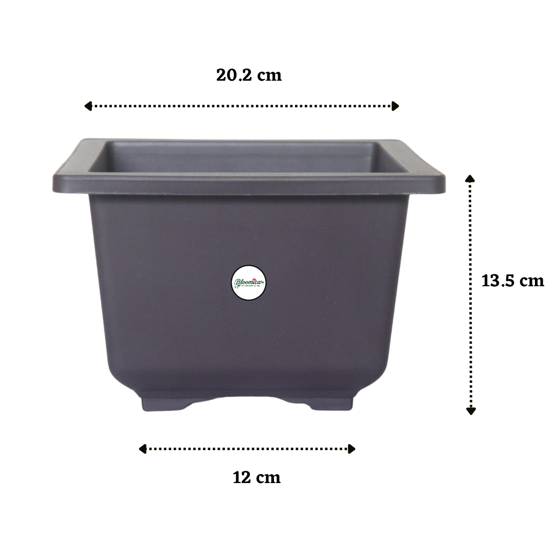 Compact Square Bonsai Planter - Brown Colour