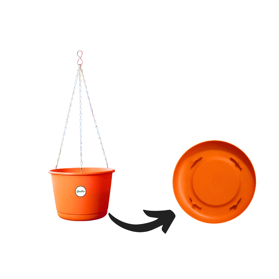 Breezy Balcony Hanging Planter - Terracotta Colour