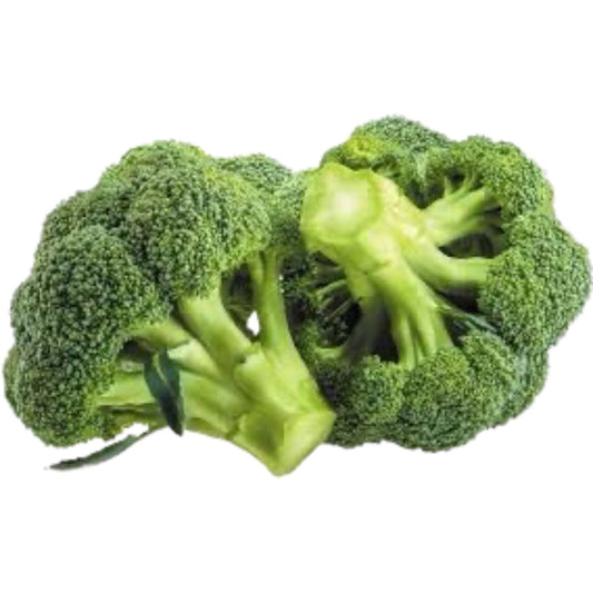 Organic Broccoli Seeds - Open Pollinated