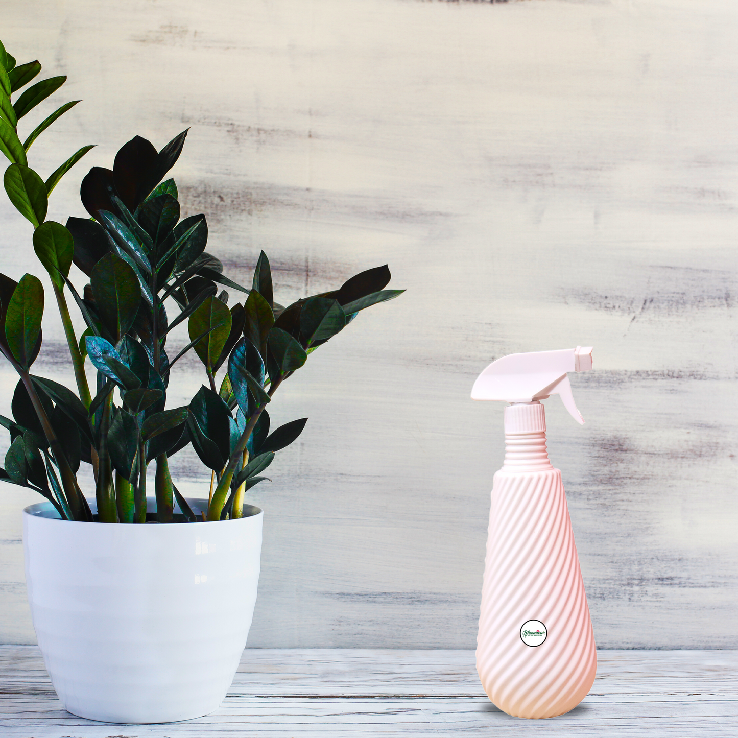 Ergonomic 1L Mist Spray Bottle for Home & Garden