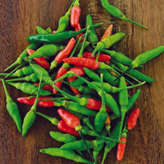 Organic Bird's Eye Chilli Green Seeds - Open Pollinated