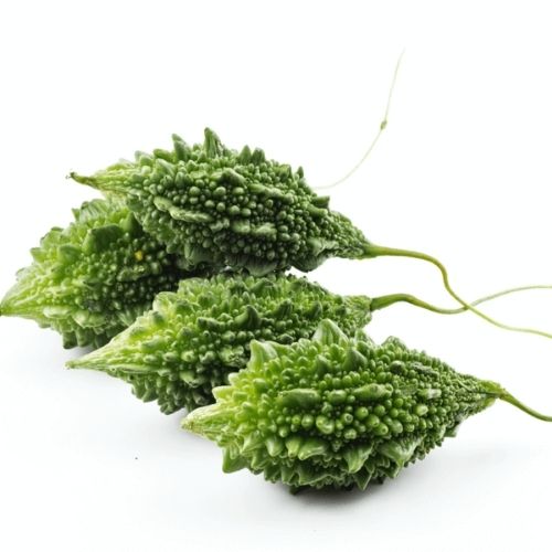 Organic Green Short Bitter Gourd Seeds - Open Pollinated