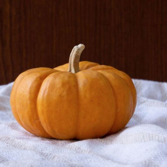 Organic Mini Pumpkin Seeds - Open Pollinated