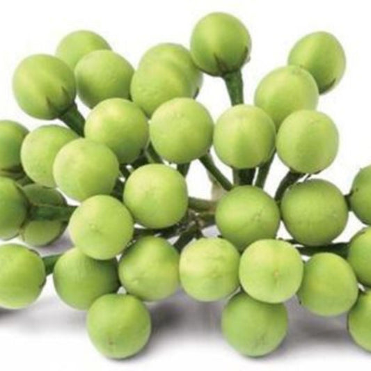 Organic Turkey Berry/Sundakkai Seeds - Open Pollinated