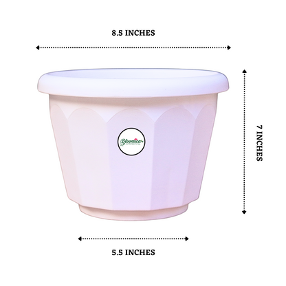 10 Inch Lotus Planter - White Colour