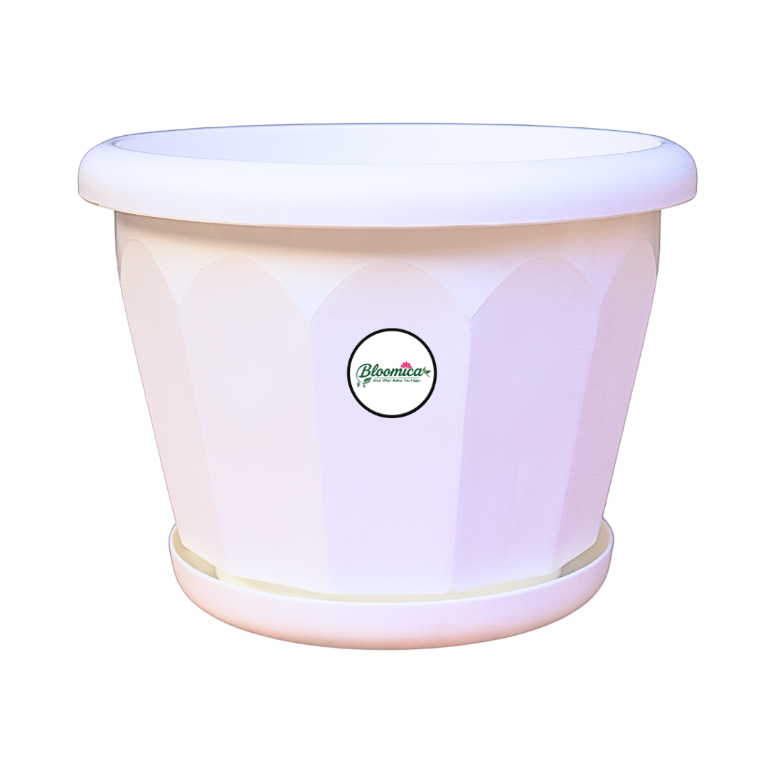 10 Inch Lotus Planter - White Colour