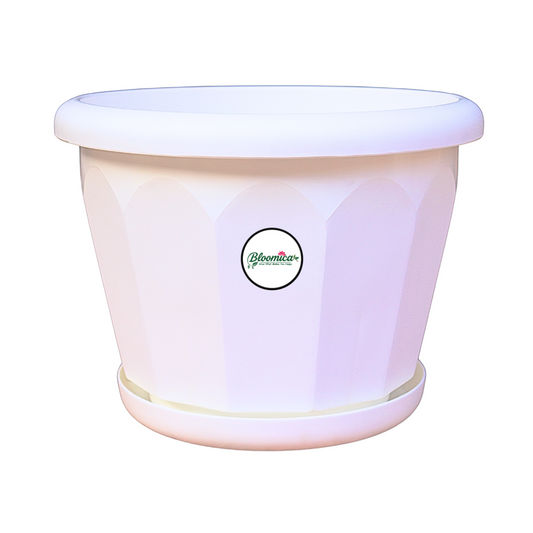 10 Inch Lotus Planter - White Colour