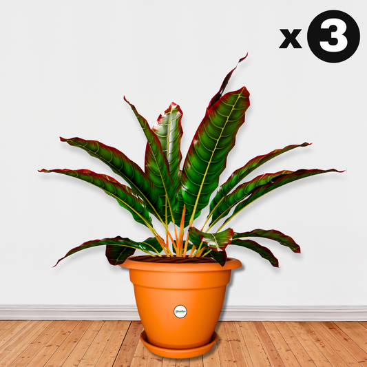 12 Inch Plastic Pots UV Treated - Terracotta Colour