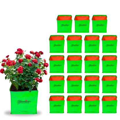 12x12x12 Inches (1x1x1 Ft) - 260 GSM HDPE Rectangular Grow Bag