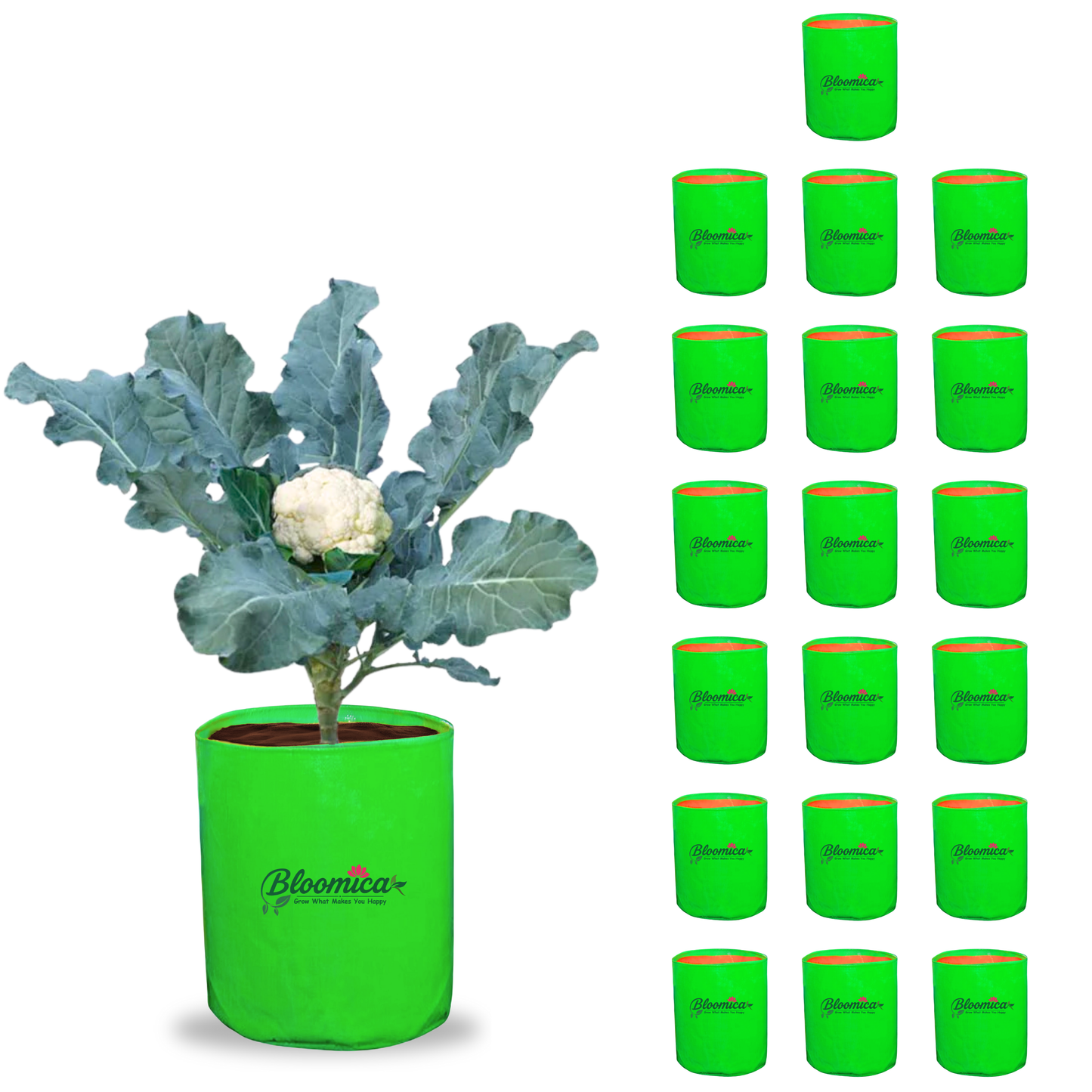 12x18 Inches (1x1½ Ft) - 260 GSM HDPE Round Grow Bag