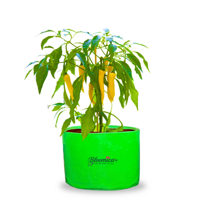 15x12 Inches (1¼x1 Ft) - 260 GSM HDPE Round Grow Bag