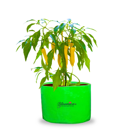 15x12 Inches (1¼x1 Ft) - 260 GSM HDPE Round Grow Bag