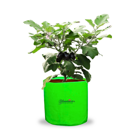 15x15 Inches (1¼x1¼ Ft) - 260 GSM HDPE Round Grow Bag