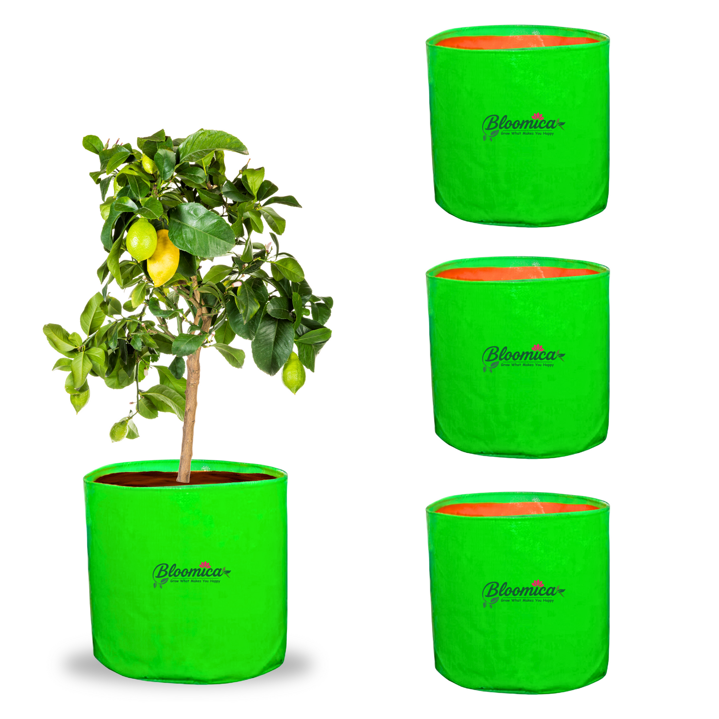 18x18 (1½x1½ Ft) Inches - 260 GSM HDPE Round Grow Bag
