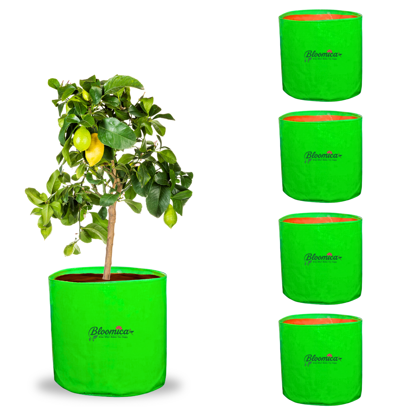 18x18 (1½x1½ Ft) Inches - 260 GSM HDPE Round Grow Bag