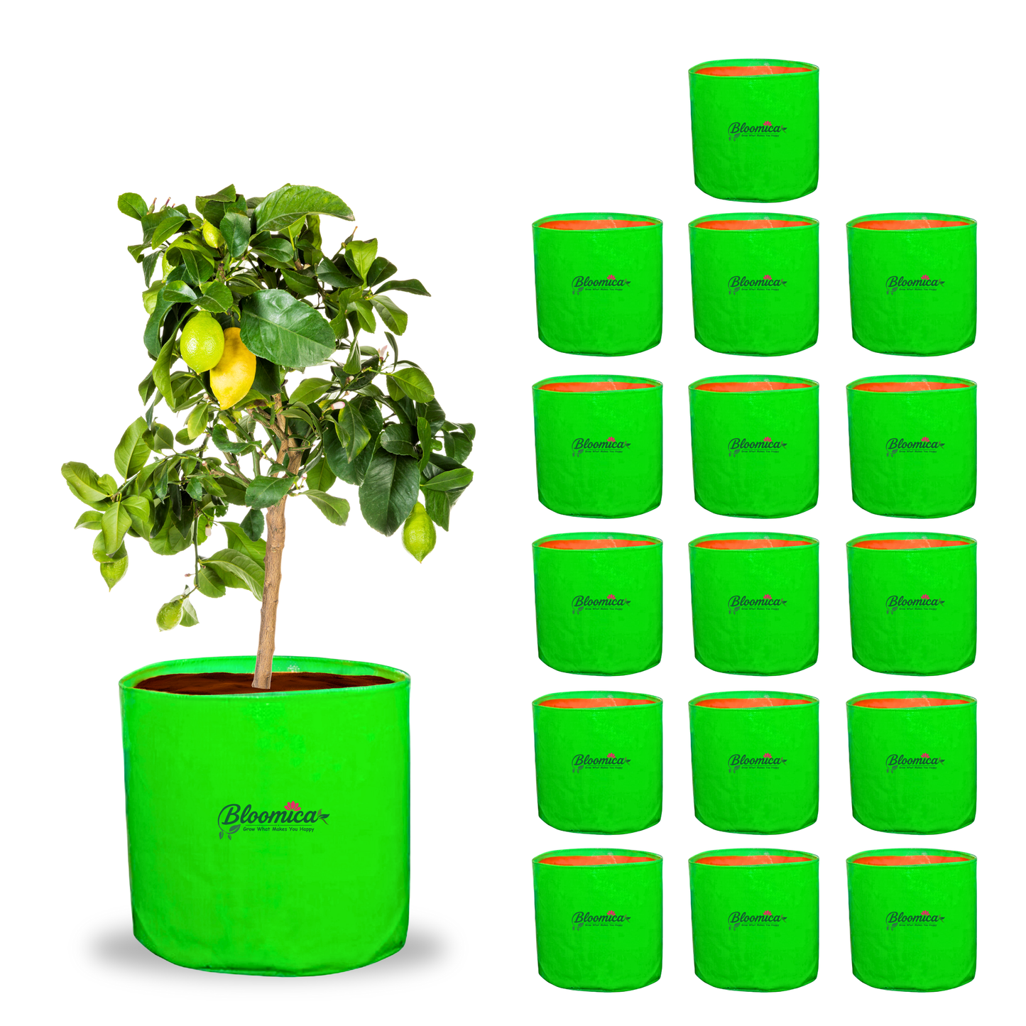18x18 (1½x1½ Ft) Inches - 260 GSM HDPE Round Grow Bag