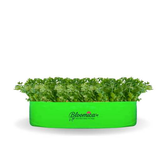 18x6 Inches (1½x 1⁄2 Ft) - 260 GSM HDPE Round Spinach Grow Bag