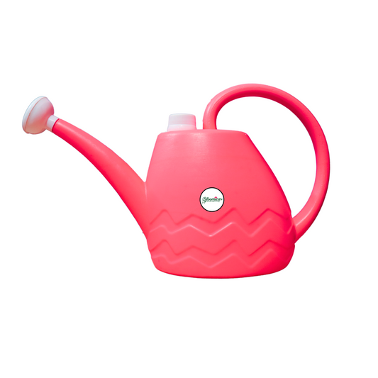Efficient 2L Watering Can for Lush Indian Gardens – Easy Grip, Long-Lasting