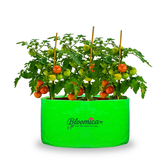 24x12 Inches (2x1 Ft) - 260 GSM HDPE Round Grow Bag