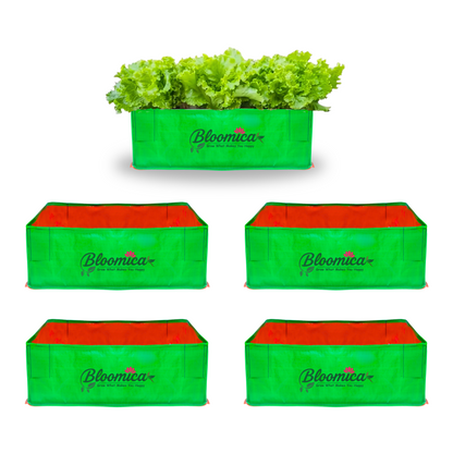 24x12x9 Inches (2x1x¾ Ft ) - 260 GSM HDPE Rectangular Grow Bag