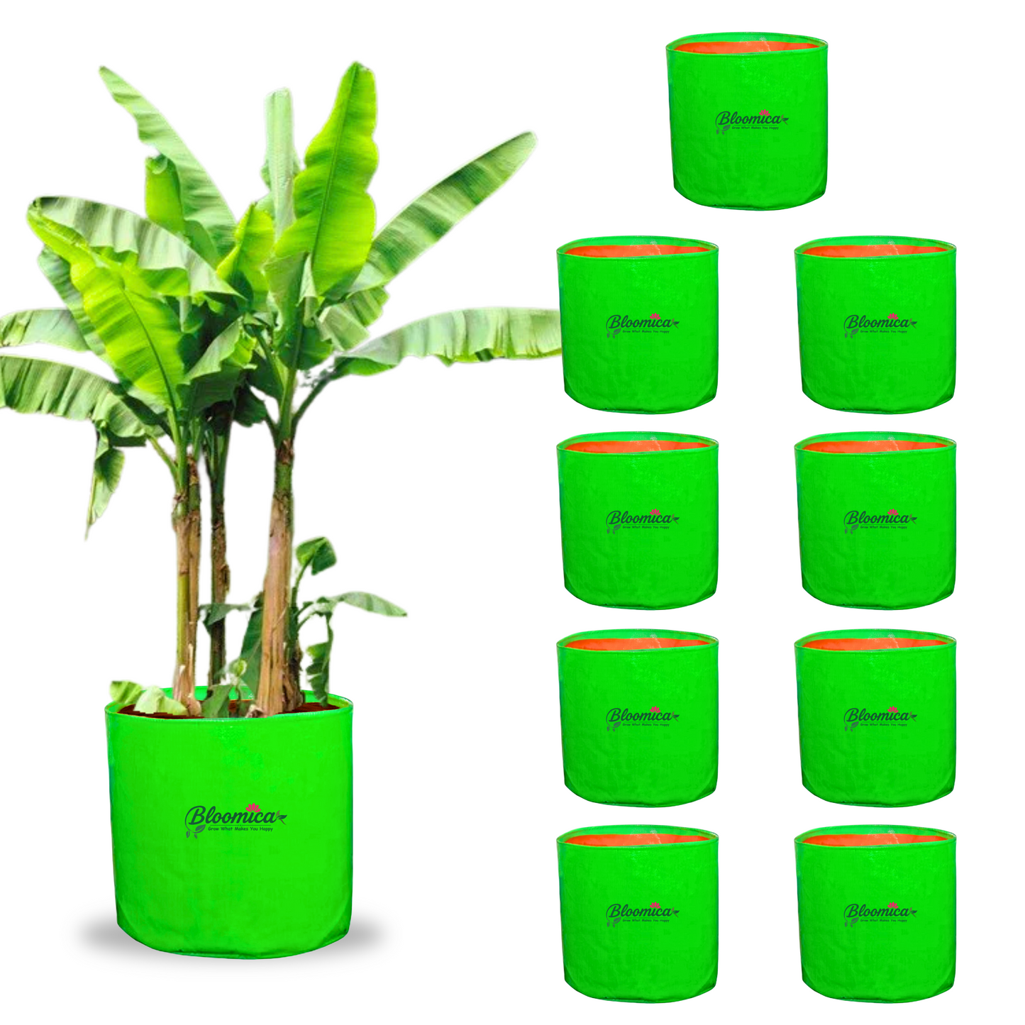 24x24 Inches (2x2 Ft) - 260 GSM HDPE HUGE Round Grow Bag