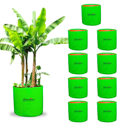 24x24 Inches (2x2 Ft) - 260 GSM HDPE HUGE Round Grow Bag
