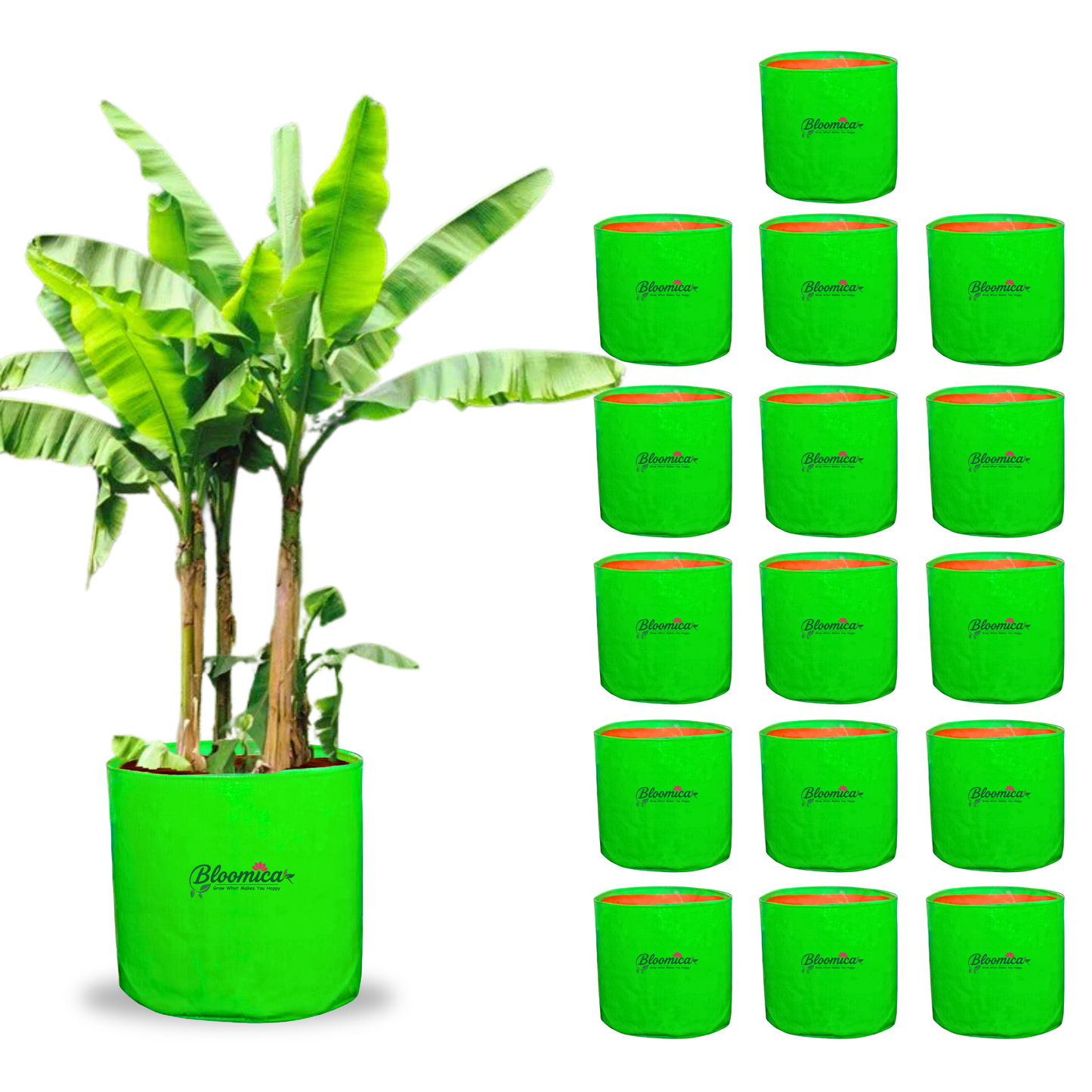 24x24 Inches (2x2 Ft) - 260 GSM HDPE HUGE Round Grow Bag