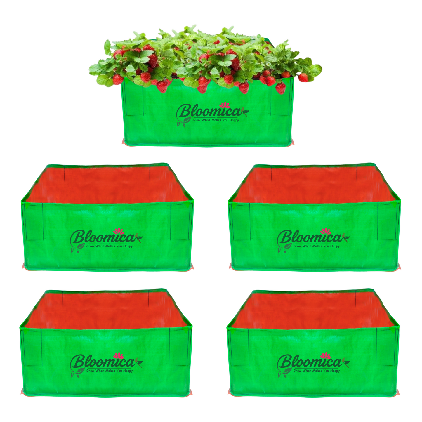 24x24x12 Inches (2x2x1 Ft) - 260 GSM HDPE Rectangular Grow Bag