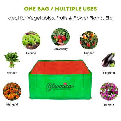 24x24x12 Inches (2x2x1 Ft) - 260 GSM HDPE Rectangular Grow Bag