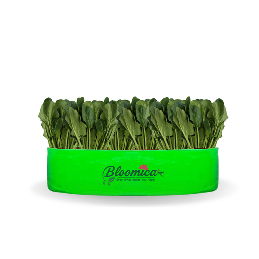 24x6 Inches (2x 1⁄2 Ft) - 260 GSM HDPE Round Spinach Grow Bag