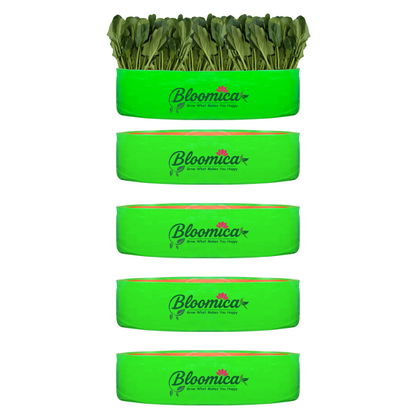 24x6 Inches (2x 1⁄2 Ft) - 260 GSM HDPE Round Spinach Grow Bag