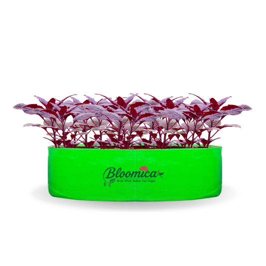 24x9 Inches (2x¾ Ft) - 260 GSM HDPE Round Spinach Grow Bag