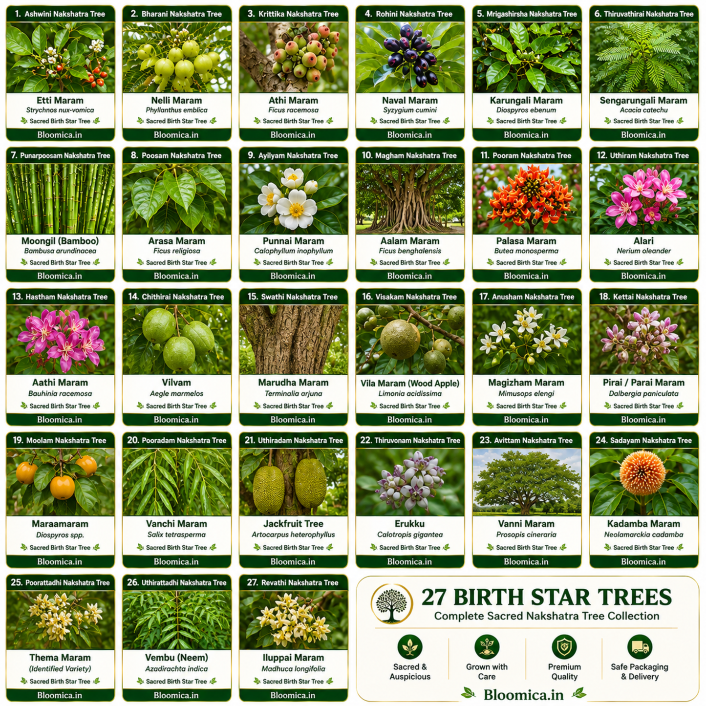 27 Nakshatra Trees Combo Pack | Complete Birth Star Sacred Live Plants Collection