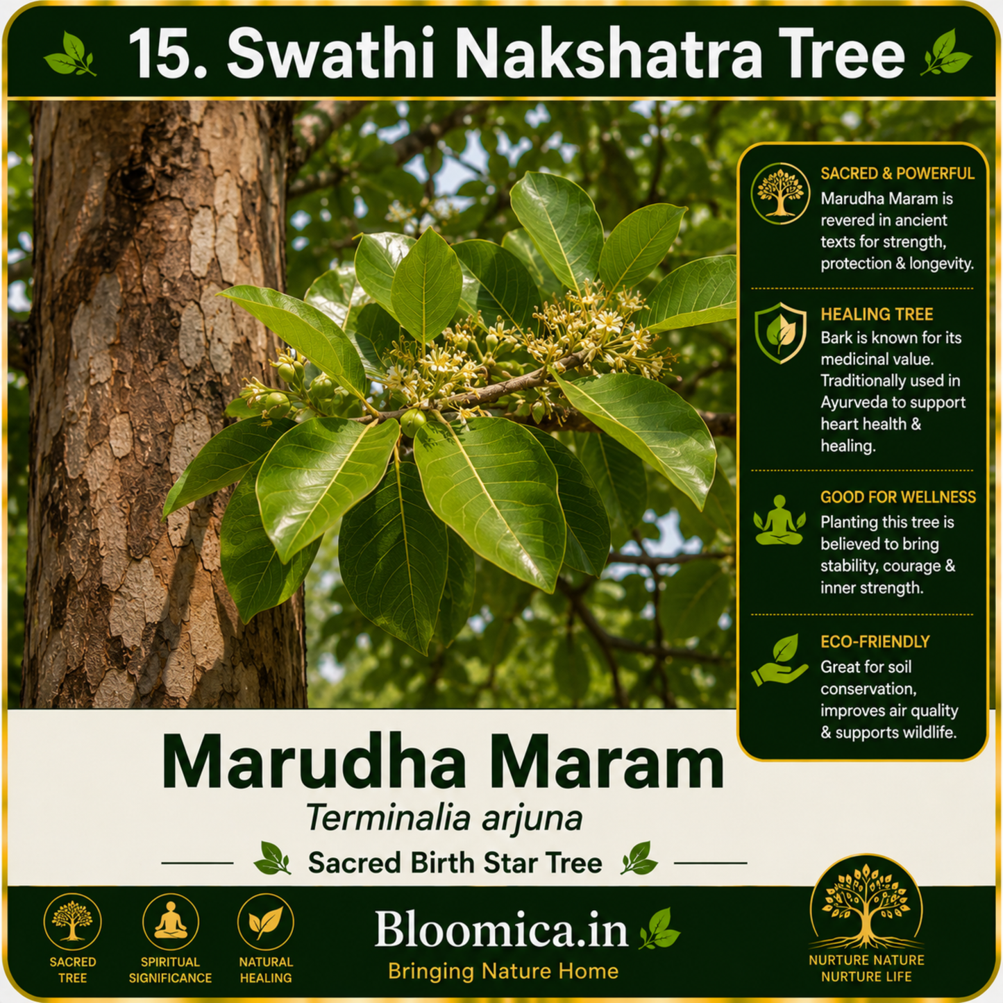27 Nakshatra Trees Combo Pack | Complete Birth Star Sacred Live Plants Collection