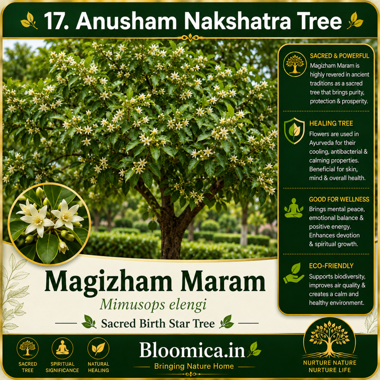 27 Nakshatra Trees Combo Pack | Complete Birth Star Sacred Live Plants Collection