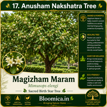 27 Nakshatra Trees Combo Pack | Complete Birth Star Sacred Live Plants Collection