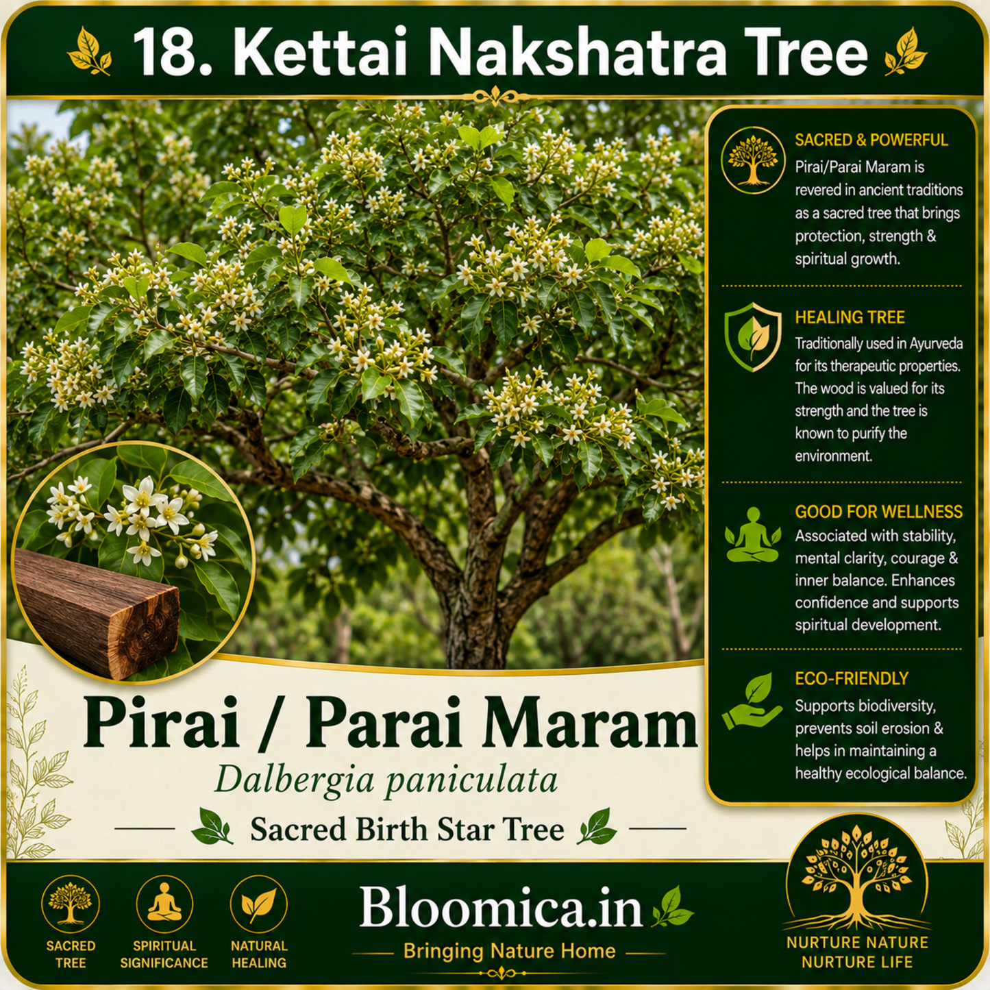 27 Nakshatra Trees Combo Pack | Complete Birth Star Sacred Live Plants Collection