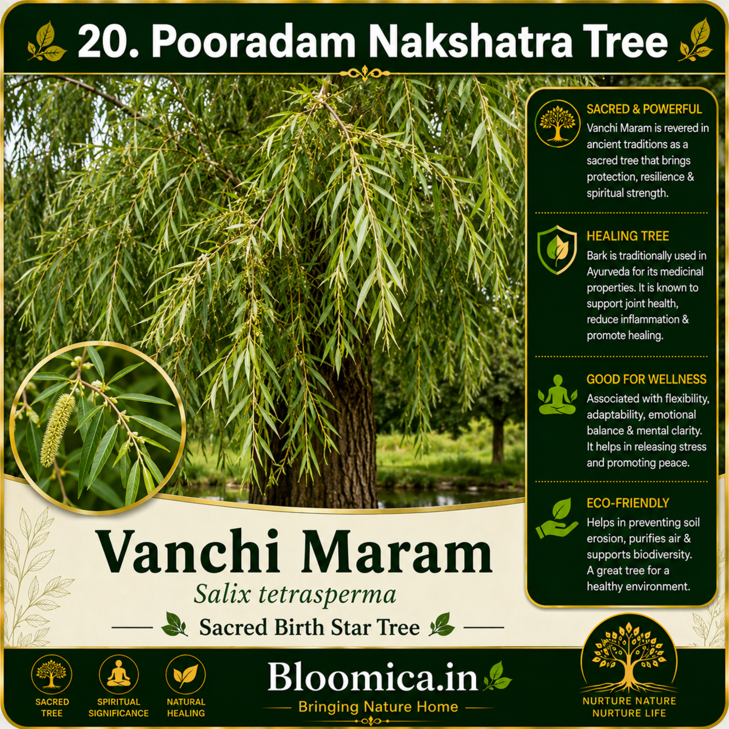 27 Nakshatra Trees Combo Pack | Complete Birth Star Sacred Live Plants Collection